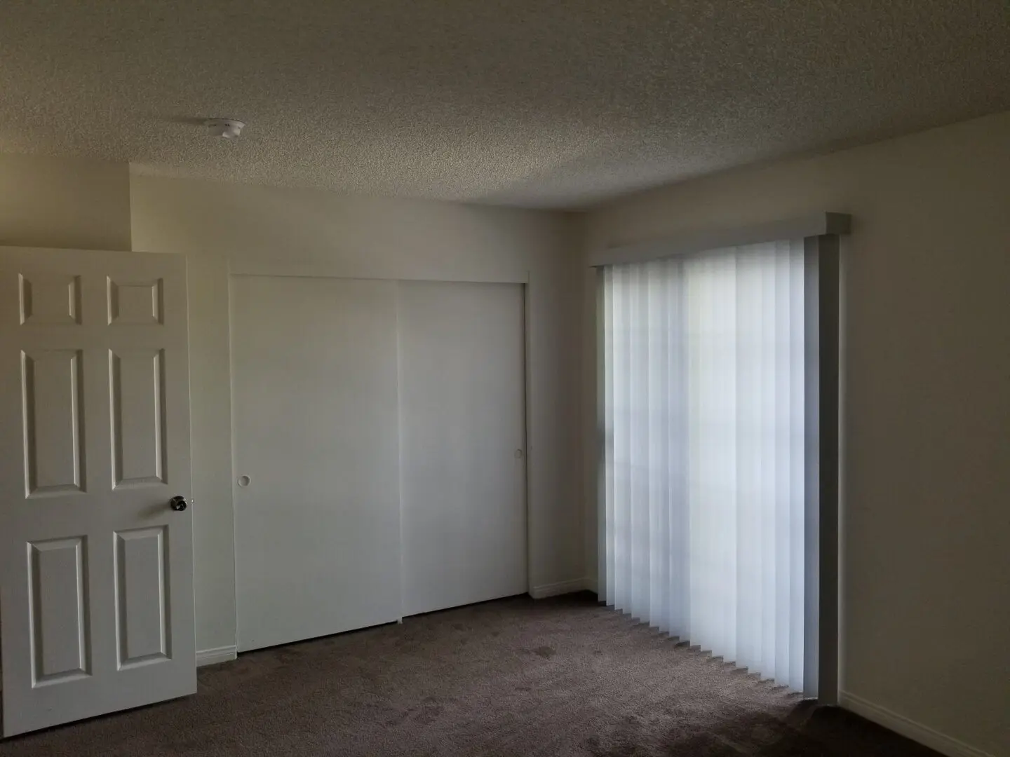 Empty room with carpet and sliding glass door covered by sheer curtains.