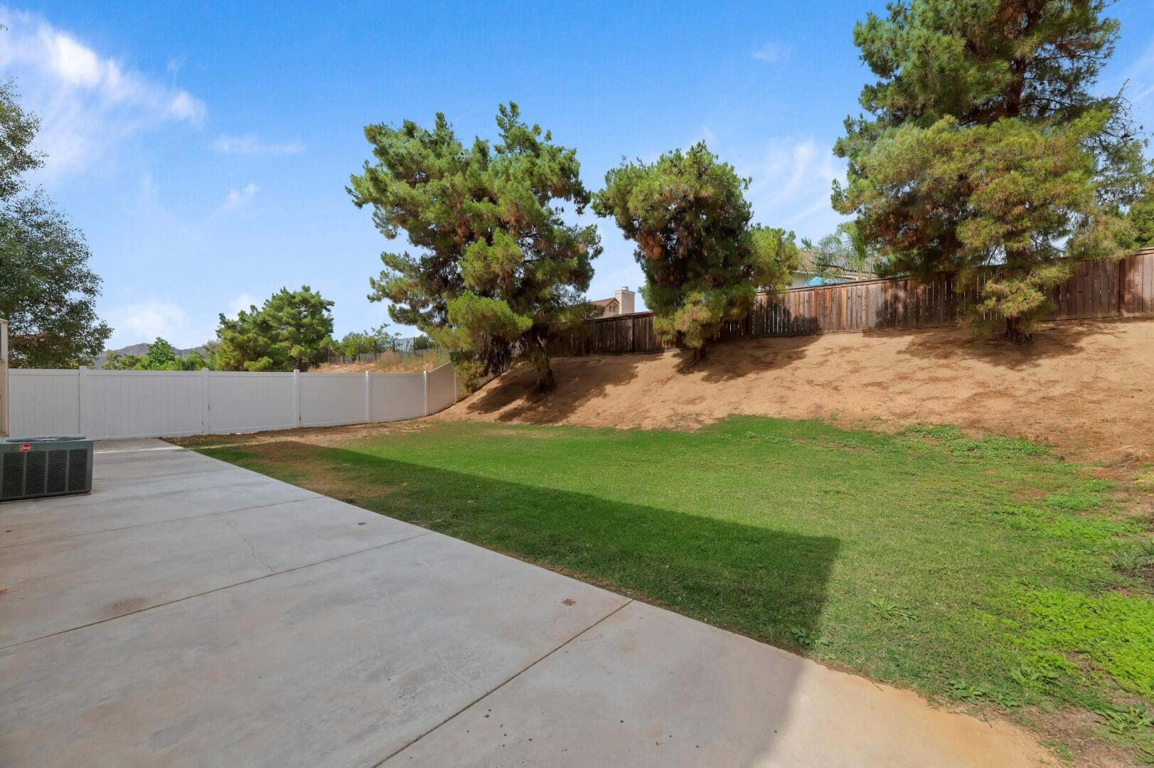 Backyard with trees and a wooden fence.