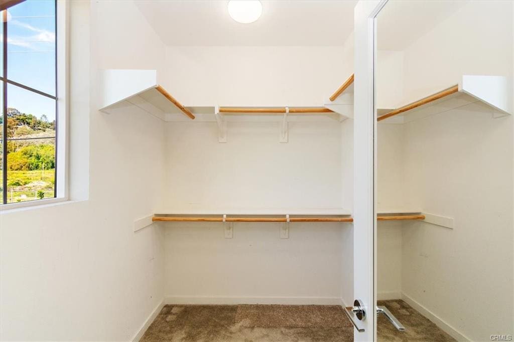 Empty walk-in closet with wooden shelves.